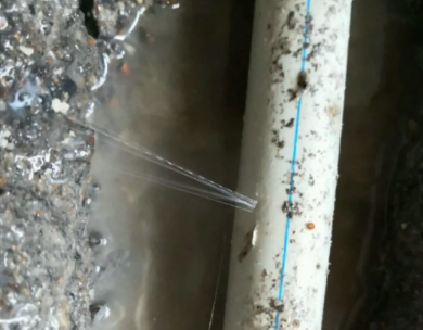 潍坊市测漏水哪家好