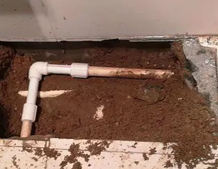 潍坊市测漏水哪家好