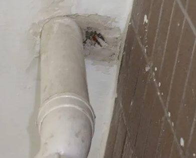 潍坊市漏水检测哪家好